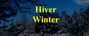Hiver - Winter