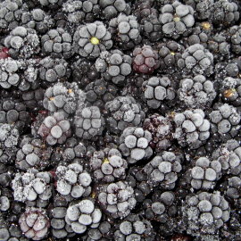 24  Mûres congelées - gefrorene Brombeeren - frozen blackberries