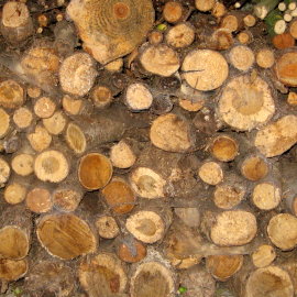 26  Bois de chauffage - Holzscheit - Firewood