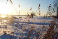 B1 - Soleil d'hiver en Suède