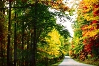 Autumn along the Blue Ridge Parkway